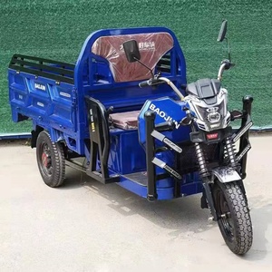 1000W 60V Electric Tricycle 3-Wheel Motorcycle Cargo Farm Usage <b>2</b> <b>Passenger</b> Seat EEC CE Certified Electric Tricycle 1500W Motor - Product Image 4