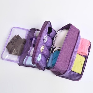 Sac de rangement suspendu pour soutiens-gorge et chaussettes, organisateur de placard, sac de rangement en maille pour soutiens-gorge, lingerie, sous-vêtements et vêtements de voyage - Product Image 1