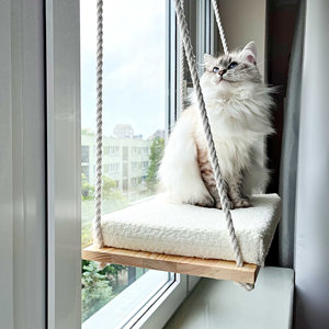 Hot Window pesce persico amaca letto minimalista per animali domestici formazione all'ingrosso forniture per animali domestici graffiatori di lusso per gatti amaca