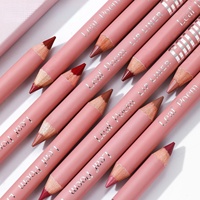 Kit de Crayons à Lèvres Mat 12 Couleurs en Gros – Longue Tenue, Imperméable, Rose Nude