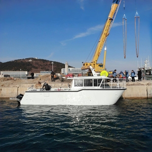 Bateau à moteur à double coque en aluminium entièrement soudé de 11 m (36 pieds) pour la pêche et les loisirs, type catamaran, avec passerelle latérale - Product Image 6