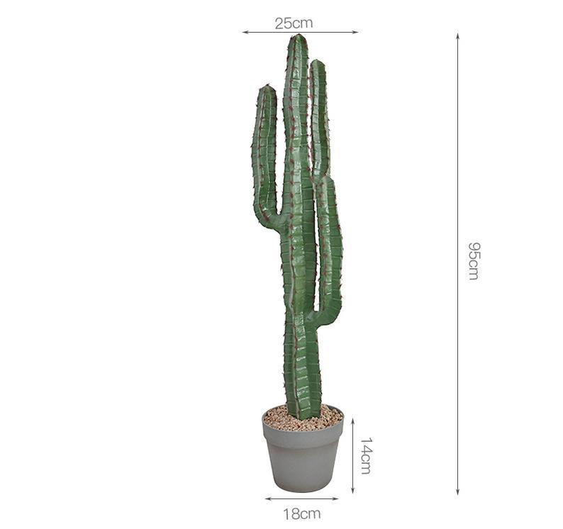 Cactus de velours rouge C