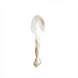 NATURAL SEASHELL SPOON CUSTOMIZE LOGO AND SIZE MOTHER OF PEARL SPOON FOR LUXURY PARTY DECOR AND DINNER TEA MEAL - Product Image 1