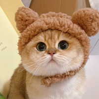 Vente chaude INS Style Halloween Teddy Robe avec Oreilles De Chat Solide Coton Citrouille Chapeau Accessoires D'hiver pour Chats et Chiens
