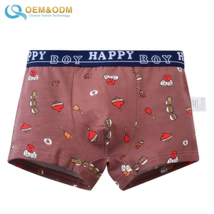 Set di 4 Boxer per Bambini in Cotone 95% e Spandex 5% per l'Addestramento al Vasino - Product Image 4