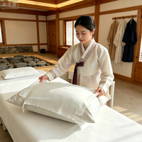 Taies d'oreiller jetables non tissées coréennes, housses de coussin anti-poussière à usage unique pour les voyages d'affaires, le camping, et les usages médicaux