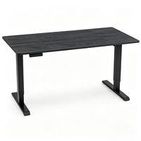 Bureau debout électrique moderne et minimaliste à double moteur, réglage en hauteur, cadre en acier, chargement USB, autoportant pour bureau à domicile