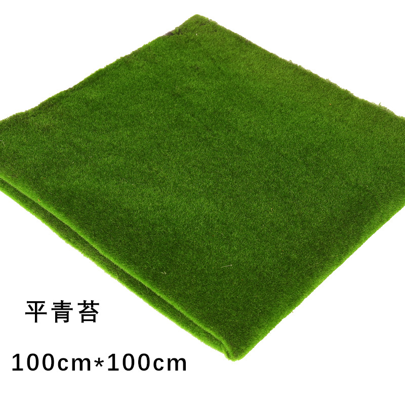 Feuille de mousse plane