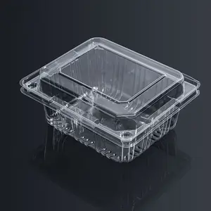 Contenedor de plástico desechable para embalaje de fruta, caja transparente para guardar alimentos frescos, alta calidad