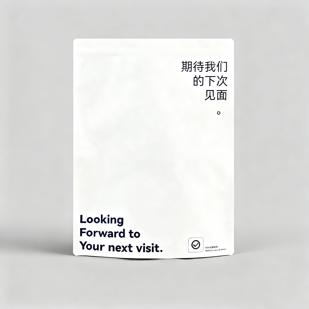Custom Printed Eco-Friendly Biodegradable PE Plastic Packaging Transparent Frosted Zipper Bag for Garments Shoes/Socks