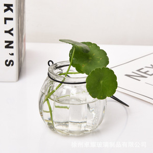 Botellas de vidrio colgantes con forma de calabaza para cultivo hidropónico, decoración del hogar - Product Image 2