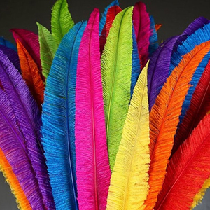 Vente en gros de plumes d'<span class=keywords><strong>autruche</strong></span> Nandu pour carnaval et costume très beauté plume d'<span class=keywords><strong>autruche</strong></span> Nandus 13-24" - Product Image 2