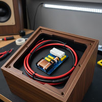 Haut-parleur professionnel 2 voies haute puissance 700W avec filtre haut-moyen-bas et réseau de division de fréquence pour aigus et basses, en métal