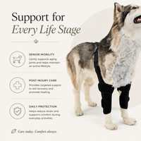 Attelle de genou pour chien, double support pour pattes avant, réglable, rembourrée, anti-rayures, avec sangle d'épaule, pour grands chiens, en polyester