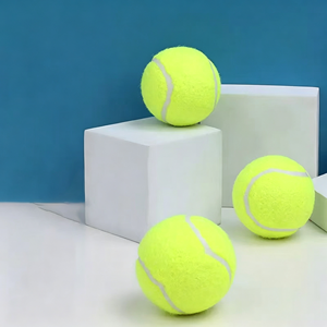 Tube de balles de tennis officielles pour l'entraînement, sac en filet de qualité supérieure, feutre durable, taille officielle, rebond constant, lot de balles - Product Image 1