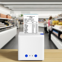 Système de point de vente portable AiYin à impression thermique directe 58 mm, résolution 203 dpi, avec interface USB pour l'impression de factures - En stock