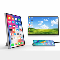 Moniteur LCD portable sans fil HD 13,3'' avec fonction écran tactile, interface USB, batterie OEM, panneau TFT pour écran d'ordinateur