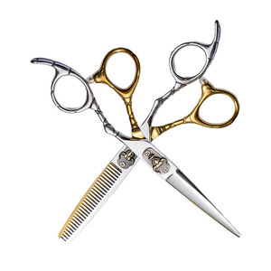Daxin Scissors Hairdressing Shears Set 6 Inch Stainless Steel Flat And Thinning Shears For Hair Styling Tools - Product Image 1