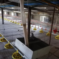 10000 élevage de poulets ferme avicole usine Structure en acier bâtiment ventiler Construction hangar Coop Cages ferme polyvalente