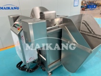 Geavanceerde automatische frietmachine met temperatuurregeling en automatische afvoer voor aardappelchips, cassave, yam en uien.