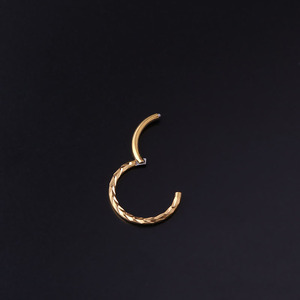 1,2x8/10mm <span class=keywords><strong>de</strong></span> acero inoxidable con bisagras segmento nariz anillo tachuelas chapado en <span class=keywords><strong>oro</strong></span> oreja cartílago Tragus Helix <span class=keywords><strong>labio</strong></span> <span class=keywords><strong>Piercing</strong></span> <span class=keywords><strong>para</strong></span> boda - Product Image 2