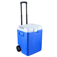 Réfrigérateur de camion BCD46E 46L 12v 24V Réfrigérateurs portables Réfrigérateurs pour camping-car/solaire