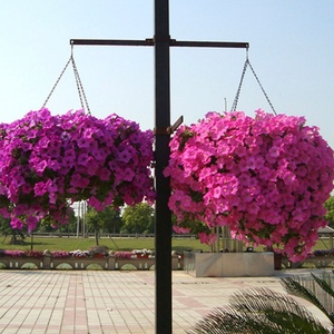 Sistemas de Jardín Vertical, Macetas Colgantes de Plástico Económicas, Macetas Decorativas para Interiores, Macetas Colgantes para Jardín, Venta al por Mayor - Product Image 6