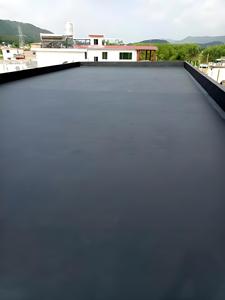 Revestimiento Impermeable Específico para Exteriores para Techos de Fábricas, Techos Residenciales y Revestimientos Impermeables Específicos para Techos - Product Image 2