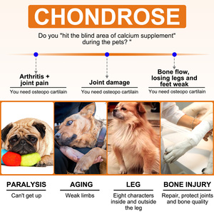 Oimmal hipdog köpek Pet kalça eklem sağlık ördek lezzet takviyeleri Chews <span class=keywords><strong>Chondroitin</strong></span> 150ps Pet sağlık takviyesi - Product Image 5