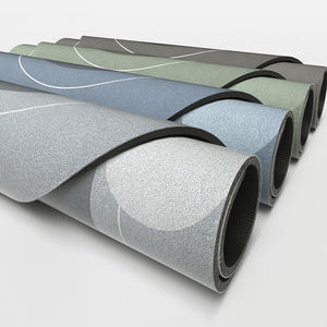 Alfombra Interior de Terciopelo Absorbente y Antideslizante de 40*60 cm y 1.6 kg, de Alta Tecnología, en Oferta - Product Image 2