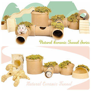 Thorn <span class=keywords><strong>Planet</strong></span> poterie rouge chambre climatisée hamster ours en soie dorée pot en céramique pour éviter le refroidissement nid tunnel toilette tuyau de bain - Product Image 4