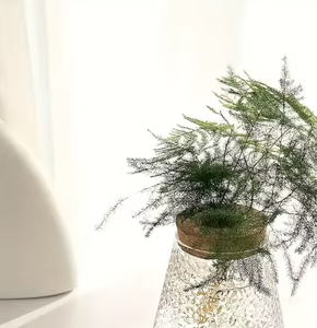 <span class=keywords><strong>Vaso</strong></span> di propagazione moderna <span class=keywords><strong>vaso</strong></span> di acqua idroponica fioriera supporto in <span class=keywords><strong>vetro</strong></span> trasparente pianta terrario con <span class=keywords><strong>coperchio</strong></span> in sughero e supporto in legno - Product Image 3