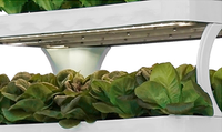 Kit de culture hydroponique de haute qualité pour jardin, avec éclairage LED intelligent, serre, système de culture hydroponique vertical