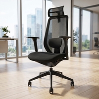 Chaise de bureau ergonomique à dossier haut personnalisable en maille avec cadre en acier, base pivotante inclinable en nylon, design moderne, pliable