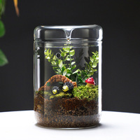 Décoration d'intérieur, vase en verre borosilicate écologique, terrarium cylindrique pour micro-paysage avec couvercle et trou