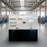 Generador Diésel Silencioso Trifásico de 50kw 100kw a Precio de Fábrica, Generador de 25kva 20kw 24kw 30kw con Motor Cummins