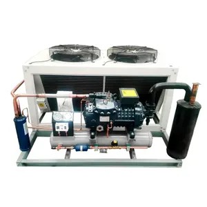 Schneckenkompressor 200L 2-In-1 260 PSI 12V Hochdruck-R-134a halbhermetischer Luftkompressor