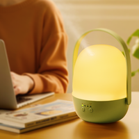 Diffuseur d'arômes portable OEM ODM d'usine, diffuseur d'huiles essentielles ultrasonique USB 150ML, humidificateur d'air rechargeable avec minuterie