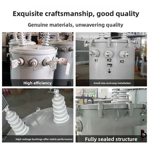 Transformateur cylindrique monophasé immergé dans l'huile, haute <span class=keywords><strong>tension</strong></span>, petite puissance, sortie 11 kV, fréquence 50 Hz, entrée 200 V, puissance de sortie - Product Image 5