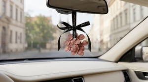 Vintage Red Lucky Gypsum Aromatherapy Expanded Stone Home Wardrobe <b>Car</b> Aromatherapy <b>Tablet</b> Pendant - Product Image 6