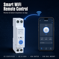 Interrupteur intelligent WiFi DC MythEle Tuya 40A, large plage de tension DC8-90V, minuterie sans fil, télécommande pour énergie solaire et camping-car