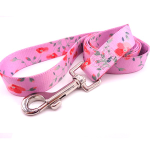 Popular dog accessories 2021 hands free pet dog collars & leashes