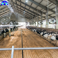 Structure en acier préfabriquée pour abri de bétail, cadre Q235B, portée libre de 40 m pour étable à vaches au Sénégal