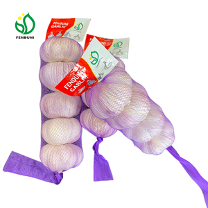 Solicitar presupuesto de verduras Liliáceas paquete pequeño 200g/250g/500g/1kg Alho Ajo ajo fresco elefante ajo para venta al por mayor - Product Image 1