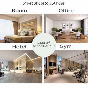 Offre Spéciale – Vente Directe Usine – Huile Essentielle Composée Hydrosoluble à Base d'Extraits Végétaux Naturels – Parfum Terreux de Citronnelle pour Diffuseur - Product Image 5