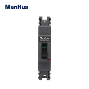 1p Mccb Single Pole MMC100N 100A 1P Breaking Capacity Adjustable MCCB Motor Protection Switch AC240V 25KA Moulded Case Circuit Breaker