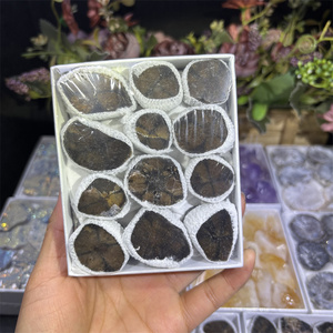 Juego <span class=keywords><strong>de</strong></span> caja <span class=keywords><strong>de</strong></span> regalo <span class=keywords><strong>de</strong></span> piedra cruda <span class=keywords><strong>de</strong></span> piedras preciosas <span class=keywords><strong>de</strong></span> alta calidad, artesanías <span class=keywords><strong>de</strong></span> cristal, piedra curativa, amatista, caja <span class=keywords><strong>de</strong></span> piedra cruda mixta para Decoración - Product Image 2