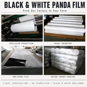 Film polyéthylène agricole anti-UV pour <span class=keywords><strong>ensilage</strong></span>, 120-150 microns, noir, blanc, vert, pour sol de serre - Product Image 6