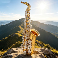 Lacquered Gold E Flat Alto Saxophone Wind Instrument for Adult Beginner Professional Use