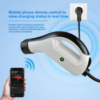 Chargeur EV portable ZQ6 NACS 3,5 kW/7 kW AC, indice de protection IP65, câble de 5 m, 240 V 16 A/32 A, station de recharge pour véhicules électriques Tesla nouvelle énergie